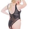 Daizy Teddy - Image 3