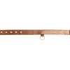 Darling Pet Collar With Leash - Image 4